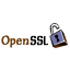 Open SSL Key logo