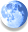 Pale Moon browser logo