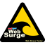 West Wind WebSurge logo
